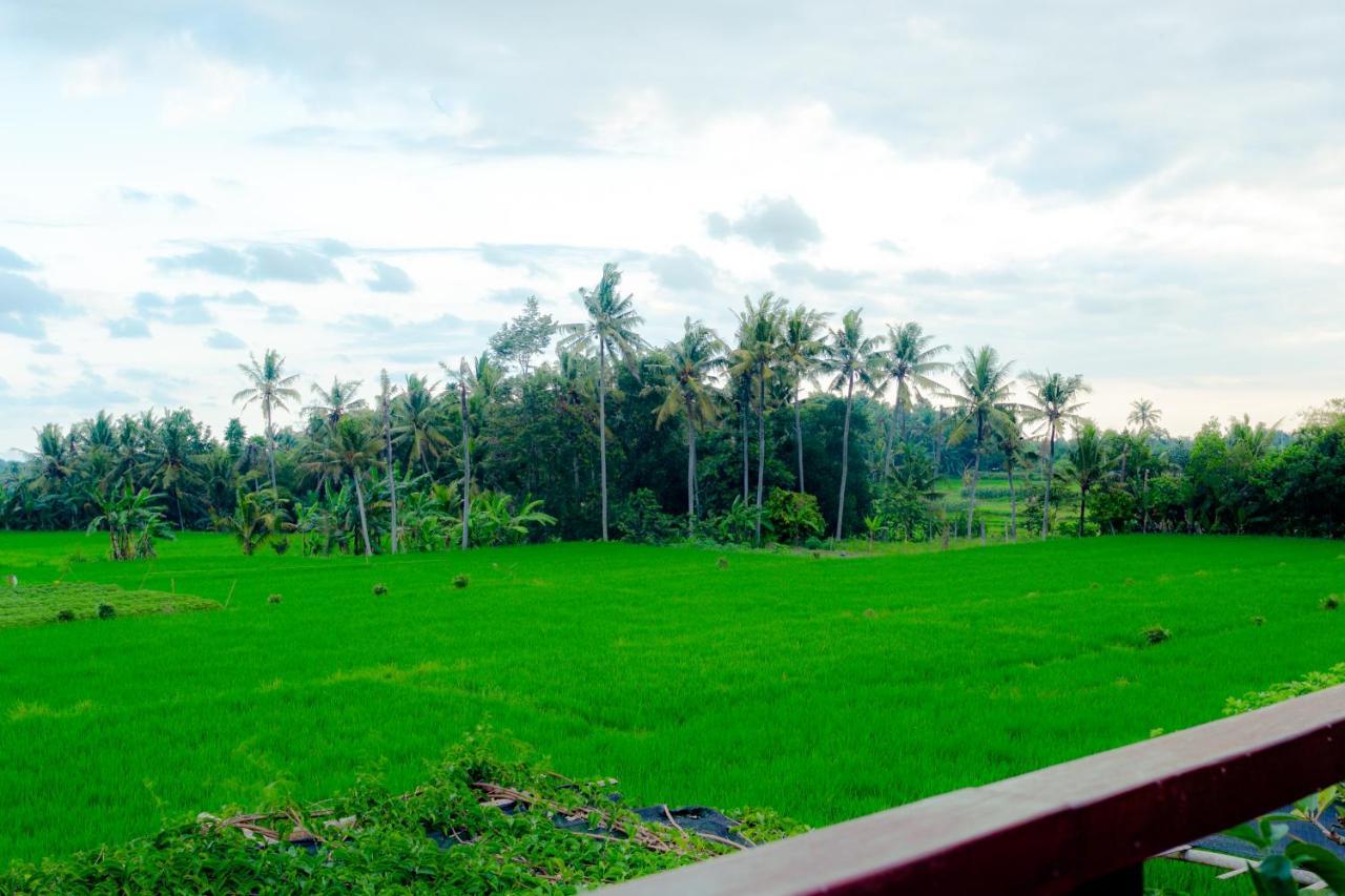 Nauna Villa Ubud Εξωτερικό φωτογραφία